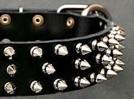 Black Leather Spiked dog Collar for Debordeaux Black Leather Spiked dog Collar for Debordeaux