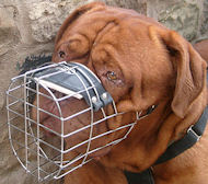 Padded Wire Basket Cage Dog Muzzle for Bordeaux Bulldog Padded Wire Basket Cage Dog Muzzle for Bordeaux Bulldog