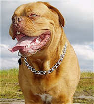 Choke dog collar- Chain dog collar/Slip Collar