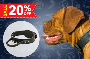 Dog Collar