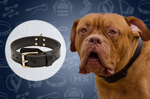 Dog collar