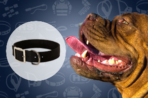 Dog collar