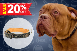 Dog Collar