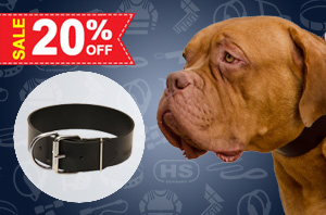 Dog Collar