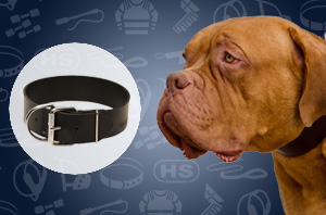 Dog collar