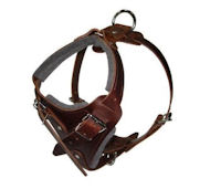 Comfort Padded Dog Harness for Debordeaux Comfort Padded Dog Harness for Debordeaux