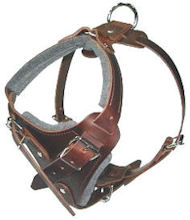Dog Body Harness for bordeaux-BEST Leather Dog Harness Dog Body Harness for bordeaux-BEST Leather Dog Harness