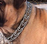 HS Dog Collars,pinch collar prong dog collar,pinch collars,training dog collars,curogan dog collars, fur saver dog collars,chain collars,slip collars for dogue De Bordeaux