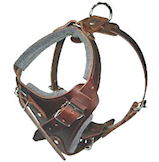 Leather padded dog harness for French mastiff,Dogue de bordeaux dog harness/Bordeaux Bulldog harness