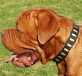 Leather dog collar for French mastiff,training leather dog collar,dog collar with handle,walking dog collars Leather dog collar for French mastiff,training leather dog collar,dog collar with handle,walking dog collars