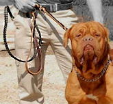 Dog Leashes,leather dgo leash,nylon dog leash,training dog leash Dog Leashes