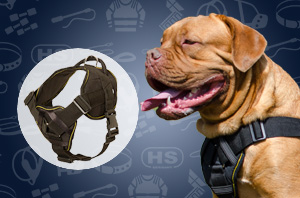 Leather Dog Harness