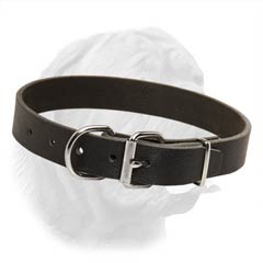 Dogue de Bordeaux Collar Made of Full Grain Leather 1 1/5 Inches Wide 