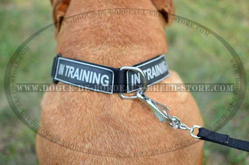 Easy to  Clean DDB Collar is Great for All Weather Activities