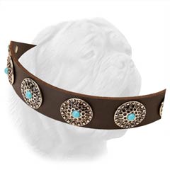 Fashionable Wide Leather Collar with Silver Plated Circled Settings Holding Turquoise Color Stones