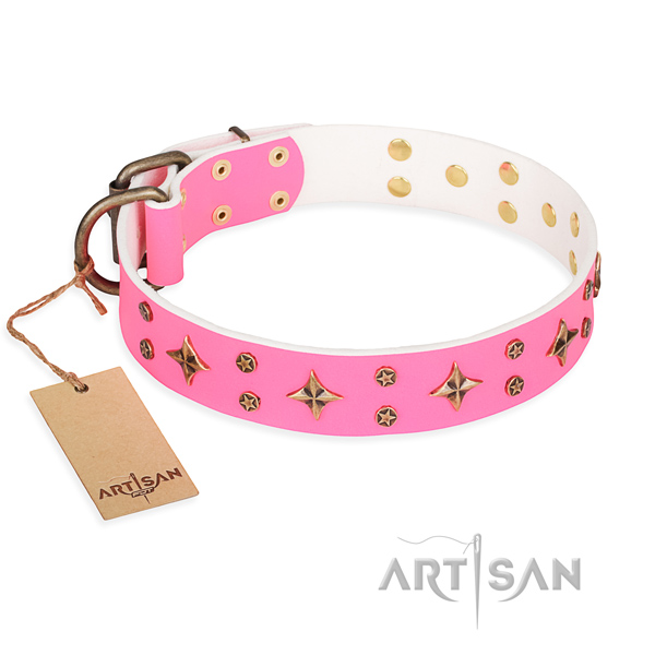 Full grain natural leather dog collar with inimitable embellishments