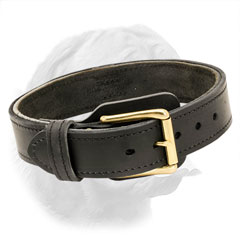 Attack Training Dogue de Bordeaux Collar with Brass Plated Buckle