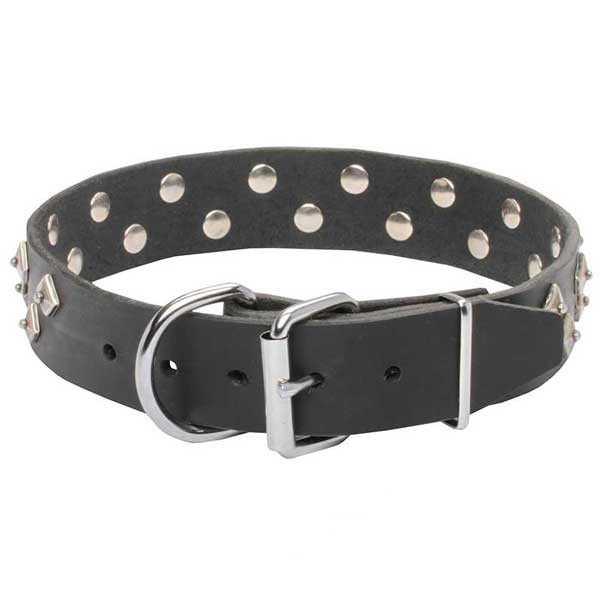 Leather dog collar for walking and training