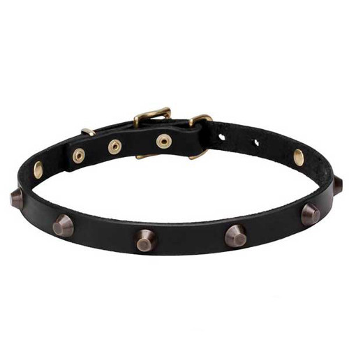 Genuine leather Dogue de Bordeaux collar with brass cones
