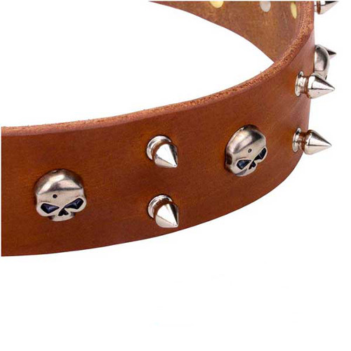 Reliable dog collar with skulls and spikes