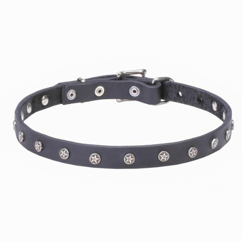 Reliable leather dog collar with nickel studs