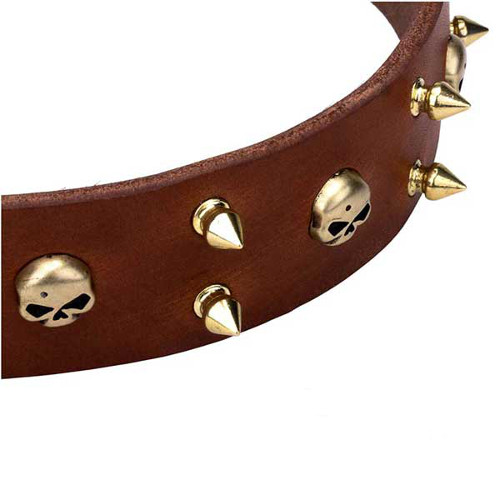Dependable dog collar with skulls and spikes