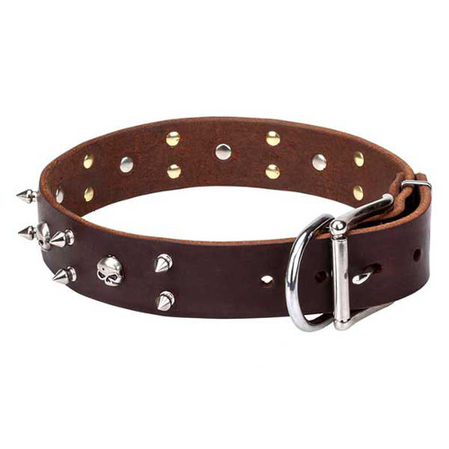 Strong leather dog collar with decorations