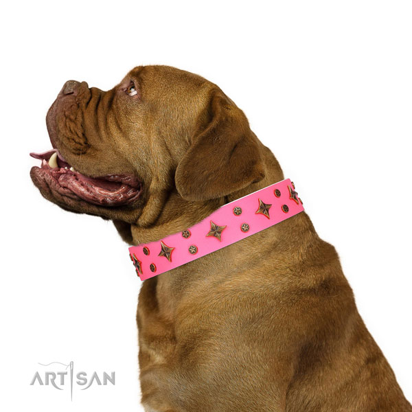 Stylish walking natural genuine leather collar with embellishments for your pet