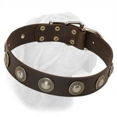 Great Width Leather Buckle Collar with One Row of Brass Plated Rounded Decorated Studs