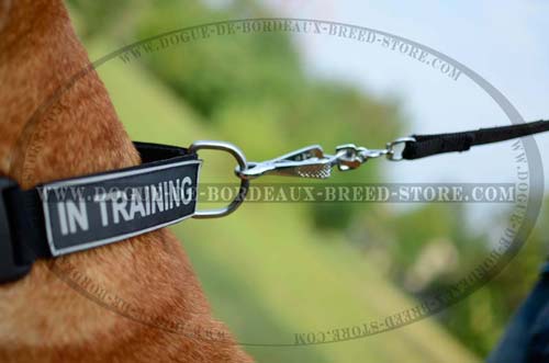 DDB Extra Strong Nylon Collar with Quick Release Buckle  for All Weathers