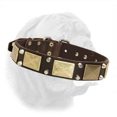 Wide Dog Collar Decorated with Vintage Style Plates and Truncated Studs