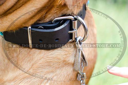 Leather Collar with Blue Stones and Rust-Resistant Durable Fittings is Great for Walking