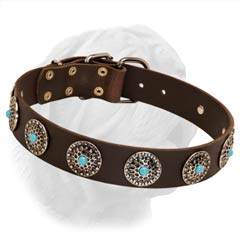 1 1/2 Inches Wide Leather Collar for Dogue de Bordeaux with Blue Stones' Decoration
