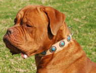 Tan Leather Dog Collar with Silver Plated Circles Blue Stones