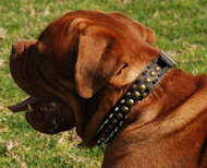 3 Rows Leather Spiked and Studded Dog Collar