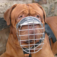 Wire Basket Basket Dog Muzzle for Dogue De Bordeaux Wire Basket Basket Dog Muzzle for Dogue De Bordeaux