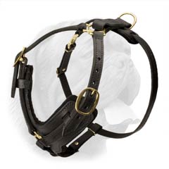Leather Dog Harness with Brass Plated Fittings and Durable Refined Design for Walking and Training