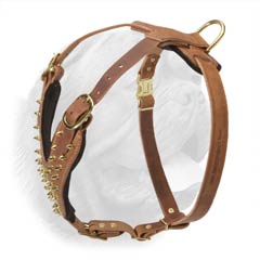 Durable walking leather harness with brass spikes
