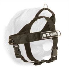Dog Training Harness with Handle for Dogue de Bordeaux