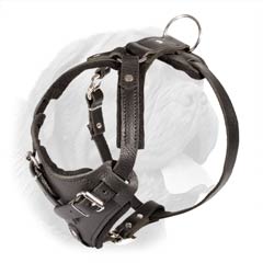 Heavy Duty Training Harness with Thick Felt Padding for Enhanced Stress Power Distribution over Dog's Chest Area