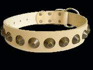 Gorgeous Wide Leather Dog Collar Gorgeous Wide Leather Dog Collar
