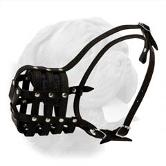 Enhanced airflow everyday leather muzzle