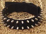 Black Nylon Spiked Dog Collar
