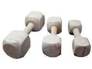 Dog Training DUMBBELLS Dog Training DUMBBELLS