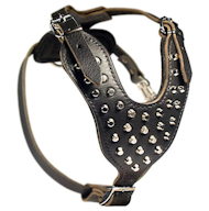 Dogue De Bordeaux Studded Leather Dog Harness with Pyramids Dogue De Bordeaux Studded Leather Dog Harness with Pyramids