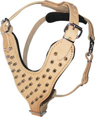 Tan Spiked Leather Dog Larness for Dogue De Bordeaux Tan Spiked Leather Dog Larness for Dogue De Bordeaux