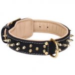 Amazing Spiked Leather Collar for Dogue de Bordeaux