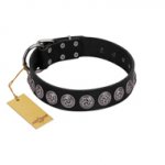 "Black Raven" Handmade FDT Artisan Black Leather Dogue de Bordeaux Collar with Silver-Like Adornments