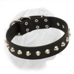 "Daily Elegance" Leather Dogue de Bordeaux Collar