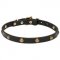 Leather Dogue de Bordeaux Collar with Goldish Brass Hardware